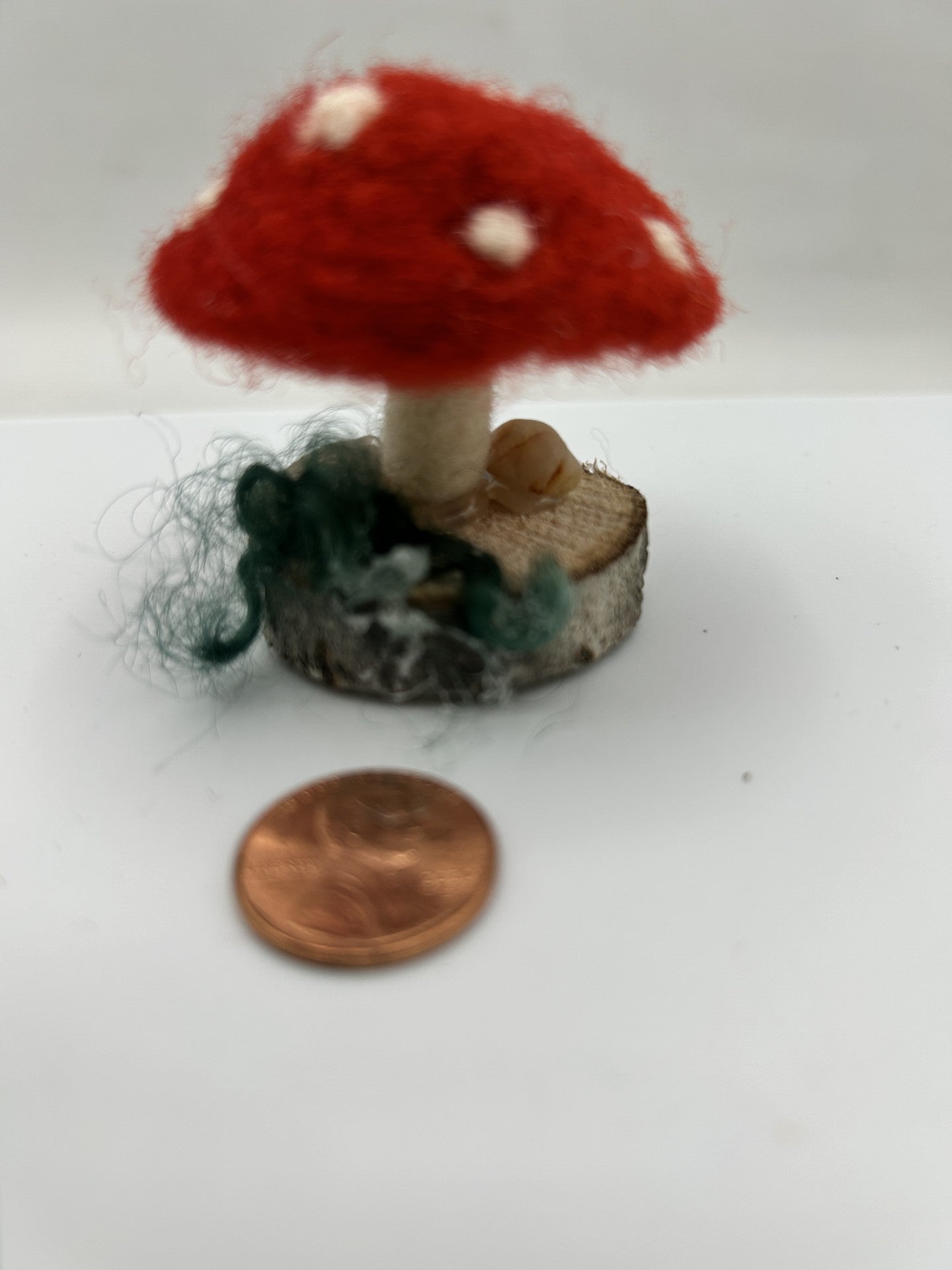 Felted Mushroom