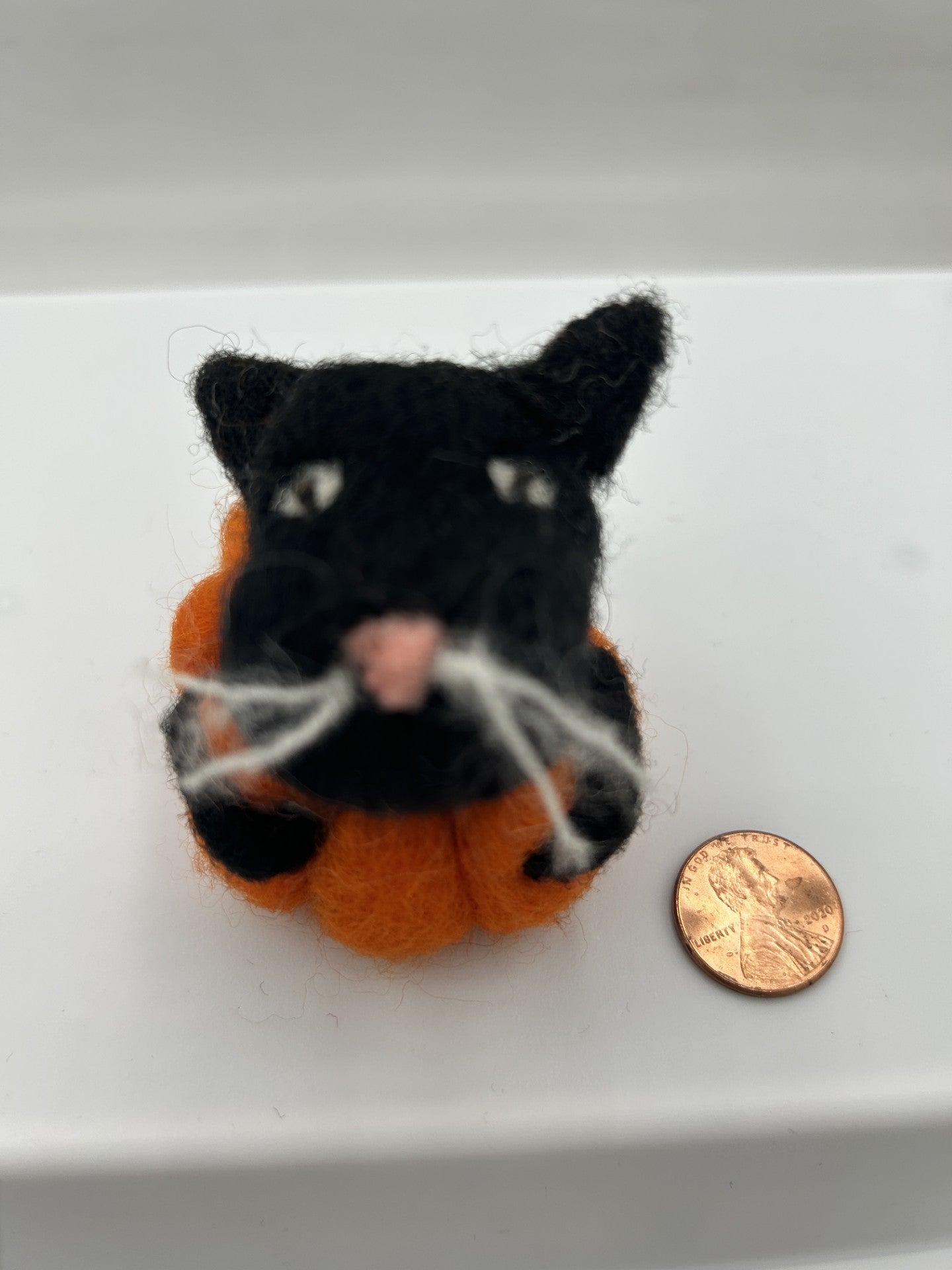 Felted Cat in a Pumpkin