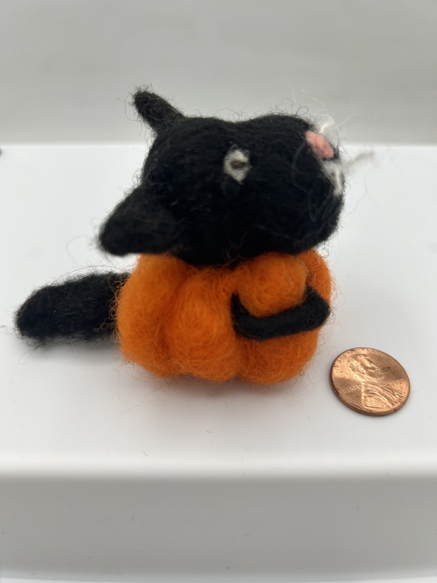 Felted Cat in a Pumpkin