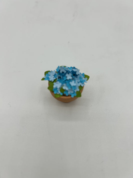 Miniature hydrangea pot